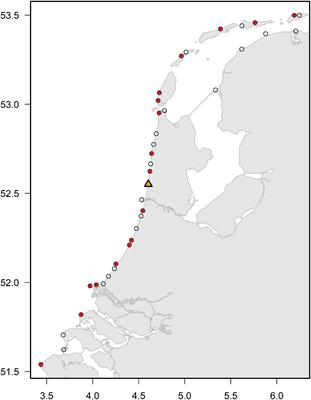 Predicting Harbor Porpoise Strandings Based on Near-Shore Sightings Indicates Elevated Temporal Mortality Rates